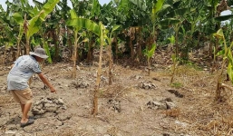 Ông lão 74 tuổi dùng xà beng đánh chết hàng xóm rồi phi tang thi thể xuống kênh