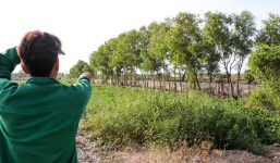 Phát hiện 300 xác thai nhi ở bãi rác: Ám ảnh lời kể những người nhặt xác