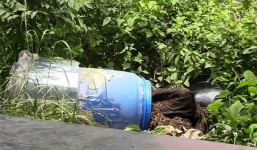 Điểm lại những vụ án mạng phi tang xác rúng động trong nước