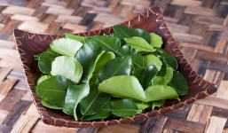 Lá chanh Việt Nam rẻ bèo nhưng ở Amazon có giá bán trên trời 6,3 triệu/kg