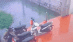 Clip: Thót tim khoảnh khắc em bé rơi xuống ao vì chơi một mình không có người lớn trông