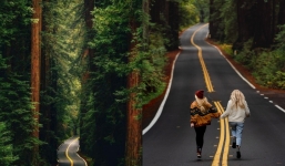 Chiêm ngưỡng cung đường xuyên rừng đẹp nhất nước Mỹ: Tuyệt cảnh nhân gian như bước ra từ cổ tích
