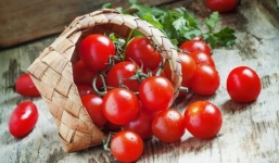 Tất tần tật về cà chua bi: Lợi ích tuyệt vời với sức khỏe không phải ai cũng biết