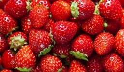 Những lý do nên ăn dâu tây mỗi ngày: Lợi ích tuyệt vời cho sức khỏe
