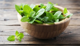 Bạc hà có tác dụng gì? 8 lợi ích của bạc hà ai cũng nên biết