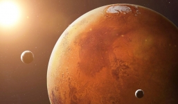 NASA có thể đã vô tình tìm thấy và tiêu diệt sự sống ngoài hành tinh trên sao Hỏa 50 năm trước?