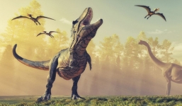 Tìm thấy hộp sọ loài săn mồi mới đỉnh cao hơn cả khủng long bạo chúa T. rex