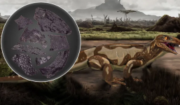 Phát hiện da của sinh vật sống cách đây 290 triệu năm còn 'già' hơn cả khủng long