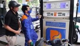 Giá xăng dầu tăng cao kỷ lục, Thủ tướng yêu cầu theo dõi kỹ thông tin nhập khẩu từ Malaysia