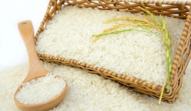 Giá lúa gạo hôm nay 22/9: Giá lúa biến động mạnh