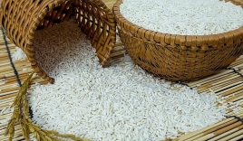 Giá lúa gạo hôm nay 26/10: Xu hướng đi ngang, khó bật tăng