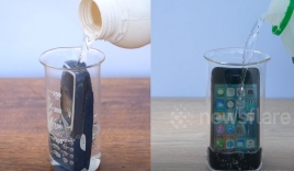 Điều gì sẽ xảy ra khi dìm iPhone và Nokia 3310 vào a xít?