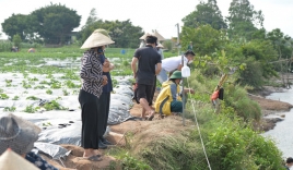 Vụ nữ giáo viên dắt 2 con nhảy sông Thái Bình: Xôn xao đoạn tin nhắn cuối gửi chồng