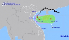 Cập nhật: Áp thấp nhiệt đới giật cấp 8 cách bờ biển Nam Định-Ninh Bình 120km
