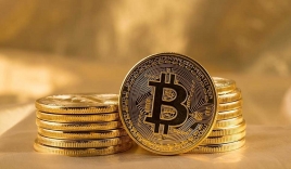 Giá bitcoin hôm nay 3/9: Đồng loạt bật tăng mạnh mẽ