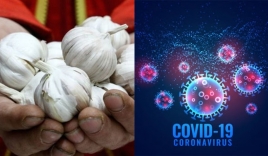 Ăn tỏi có phòng ngừa được dịch Covid-19 như đồn đoán?