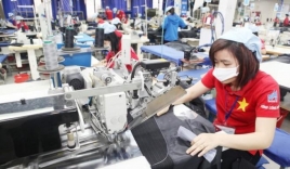 Tín hiệu tích cực từ những “vùng xanh” ở Hà Nội