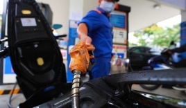 Giá xăng dầu tăng 'phi mã', cao chưa từng có trong 3 năm trở lại đây