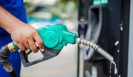 Giá xăng dầu hôm nay ngày 18/6: Vẫn liên tục giảm mạnh