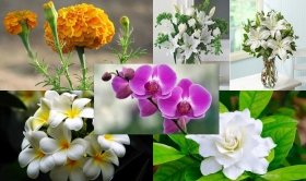 5 loại hoa không nên bày lên bàn thờ ngày Tết Nguyên đán tránh hao tổn phúc khí