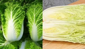 Người bán rau lâu năm nhắc nhỏ: Chớ nên mua cải thảo khi có 3 dấu hiệu này
