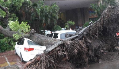 Tin bão số 3: Bão số 3 khiến 1 người chết, 4 người bị thương