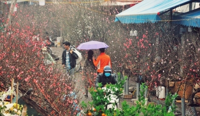 Tình hình thời tiết từ nay đến Tết Nguyên đán: Dự báo miền Bắc đón Tết ấm áp