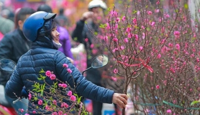 Dự báo thời tiết Tết Nguyên đán Giáp Thìn 2024: Miền Bắc trời lạnh, mưa phùn