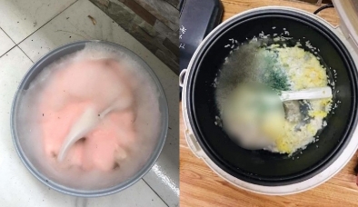 Muôn kiểu quên đồ ăn về nghỉ Tết của CĐM: Cơm mốc như kẹo bông, tủ lạnh nhiều sinh vật lạ ghé thăm