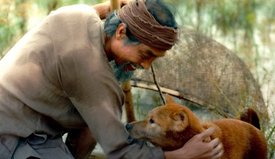 Sau thời gian dài tranh cãi, chú chó vào vai 'cậu Vàng' cuối cùng đã hé lộ 