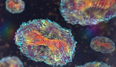 Hy hữu: Người đàn ông nhiễm Covid, đậu mùa khỉ, HIV cùng lúc