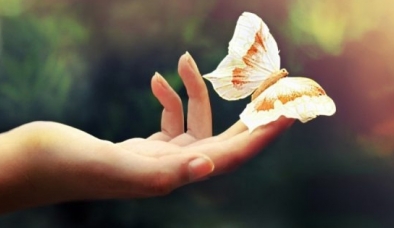 Cổ nhân đúc kết: Nhìn 5 điểm này trên bàn tay biết ngay chủ nhân số phú quý hay bần hàn