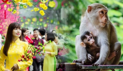 Xem ngày giờ khai trương tốt nhất năm 2023 Quý Mão cho gia chủ tuổi Thân 