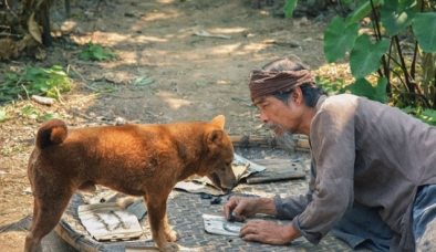 Shiba Nhật không được lòng khán giả Việt, phim 'Cậu Vàng' lỗ nặng phải rút khỏi các phòng chiếu 