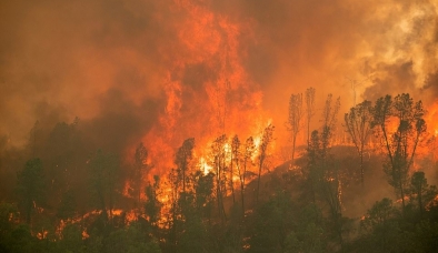 Cảnh tượng hỏa ngục khiến hàng trăm nghìn người California phải rời bỏ nhà cửa