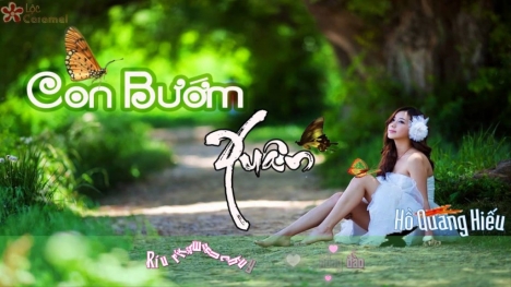 Sự thật về “Con bướm xuân' (Con bướm xinh) 