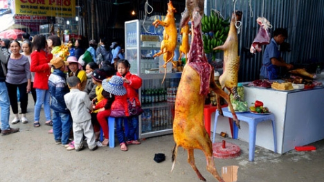 Ban quản lý chùa Hương bị phê bình vì những hình ảnh phản cảm tại Lễ hội