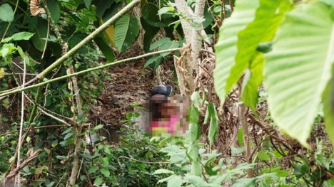 Phát hiện thi thể thiếu nữ bán bánh mì chết bất thường 