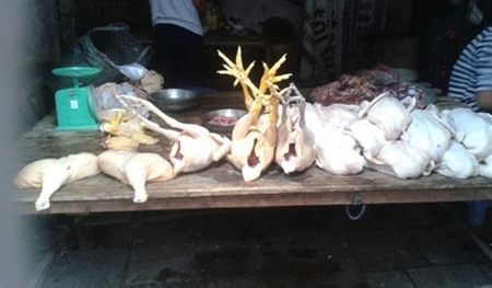 Rùng rợn “công nghệ” nhuộm gà bằng hóa chất độc hại