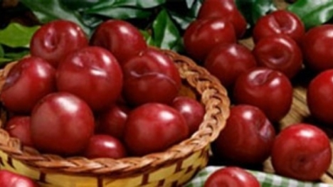 14 loại thực phẩm cấm kỵ sử dụng để ăn