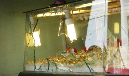 Bắt khẩn cấp 2 đối tượng cướp tiệm vàng táo tợn