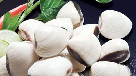 Cách làm sạch bùn đất trong miệng ngao, ốc, hến trước khi chế biến