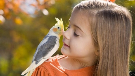 Cách người Đức dạy trẻ về tính lương thiện