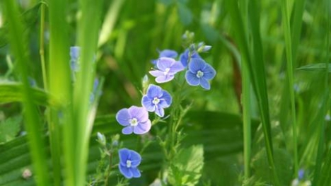 Tử vi ngày 9/9/2014 theo cung hoàng đạo