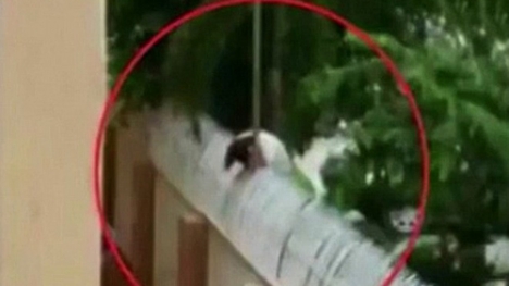 Nữ sinh bị giật chết khi cố leo hàng rào điện ra ngoài