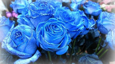 Tử vi ngày 14/10/2014 theo cung hoàng đạo