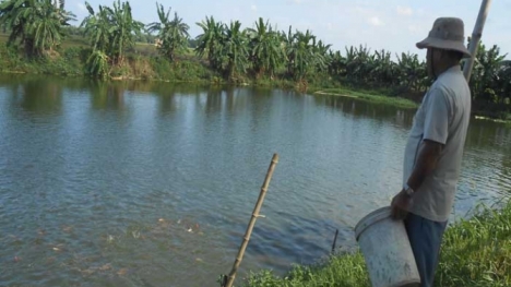 Hành trình trở về đầy bất ngờ sau bảy ngày dưới huyệt mộ