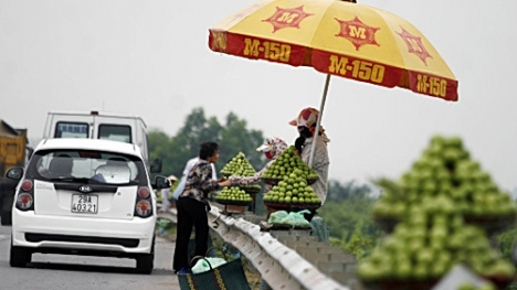 Dừng mua ổi ven đường, cô gái bị mất máy tính