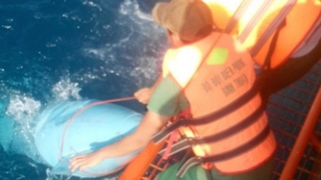 Tìm thấy thi thể phi công Su-22 Lê Văn Nghĩa dưới biển