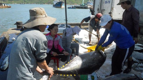 Thêm tiếng nói phản đối lệnh cấm đánh bắt cá của Trung Quốc